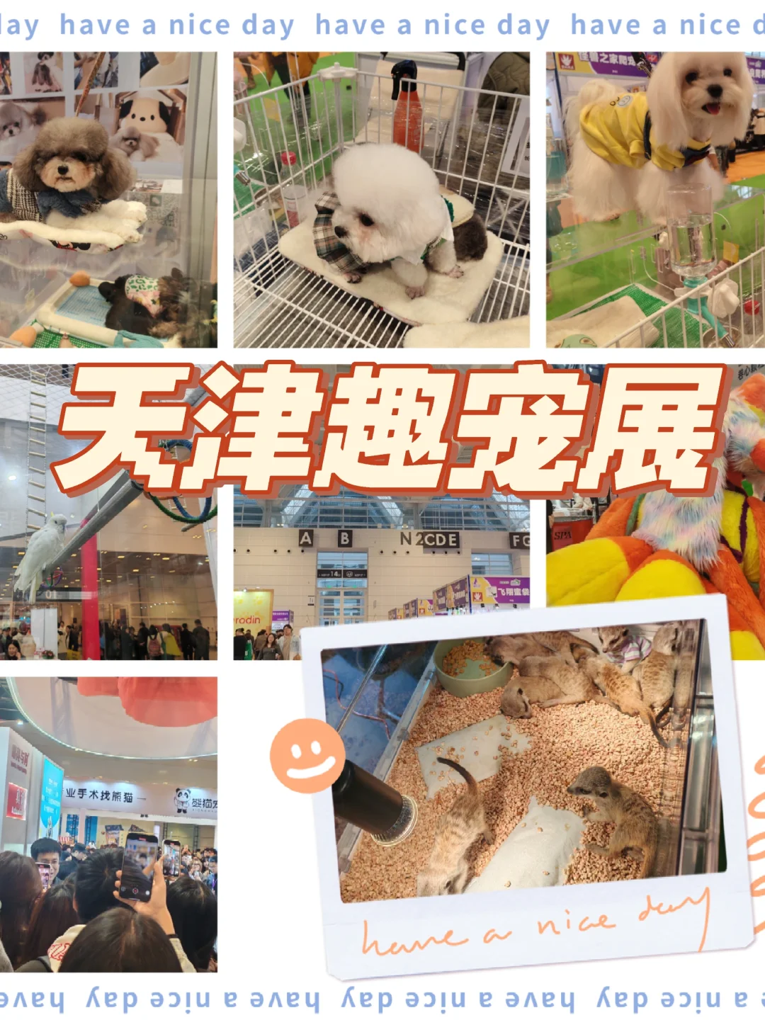 当农产品展遇见趣宠展怎么能不去薅羊毛