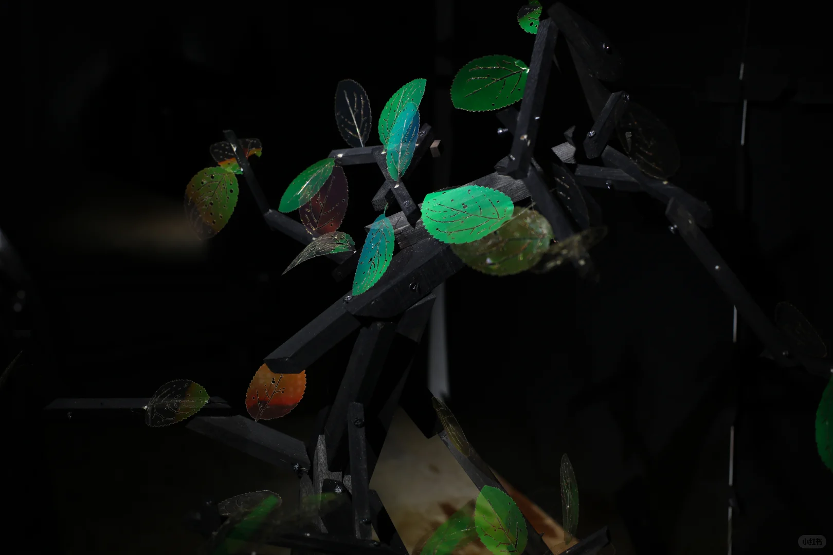 全息艺术实验室的《显籽图》 ，2023年