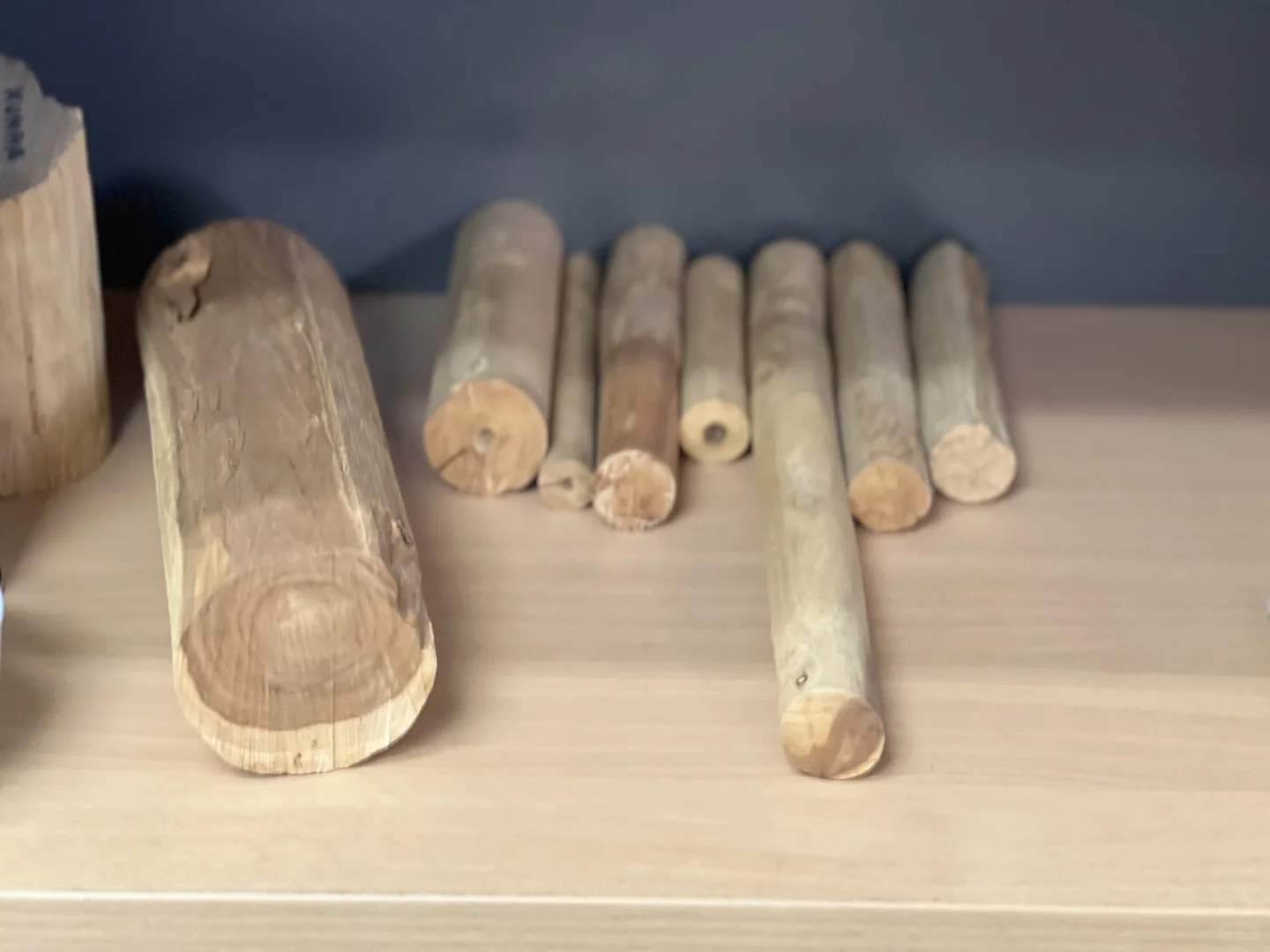 20世纪初全球檀香贸易与檀香植物属名之争9