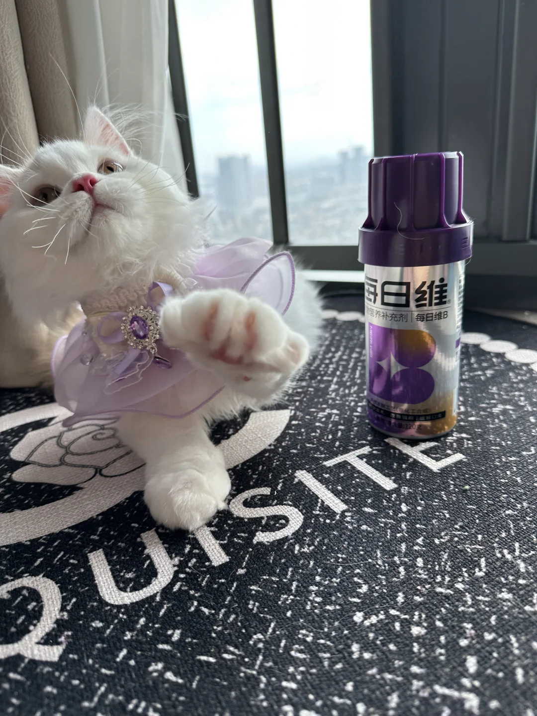 猫咪需要补充维生素b吗