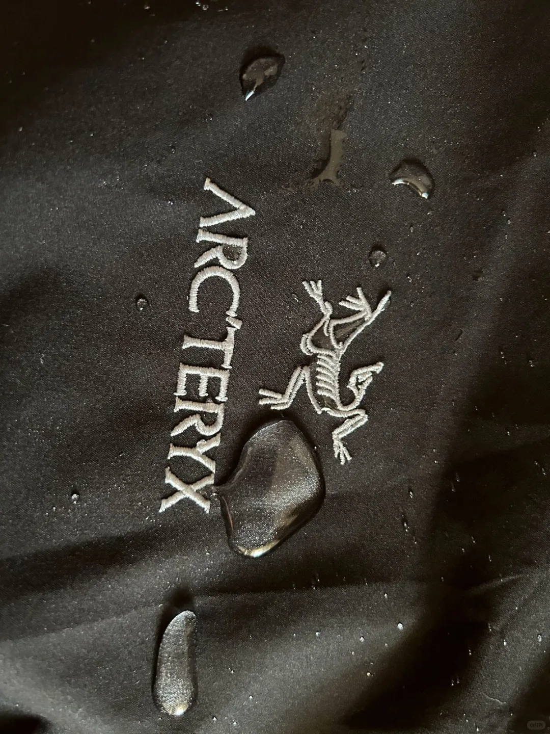 鸟的防水 果然强的可怕!