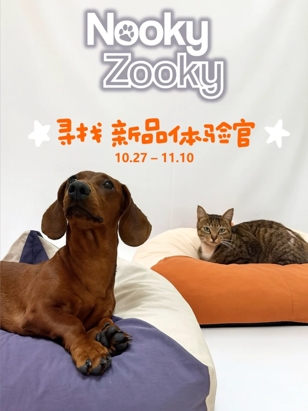 NookyZooky 新品首发招募体验官｜山峰宠物窝