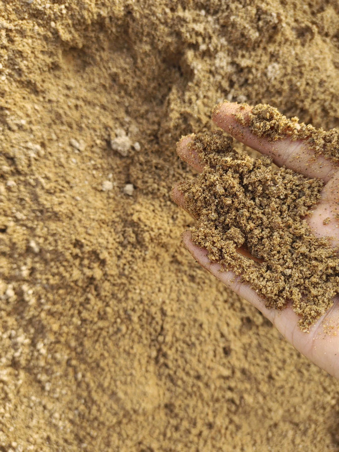 自装买沙子水泥必看❗️