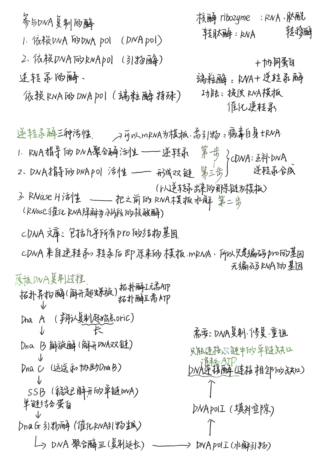 生物化学|笔记合集