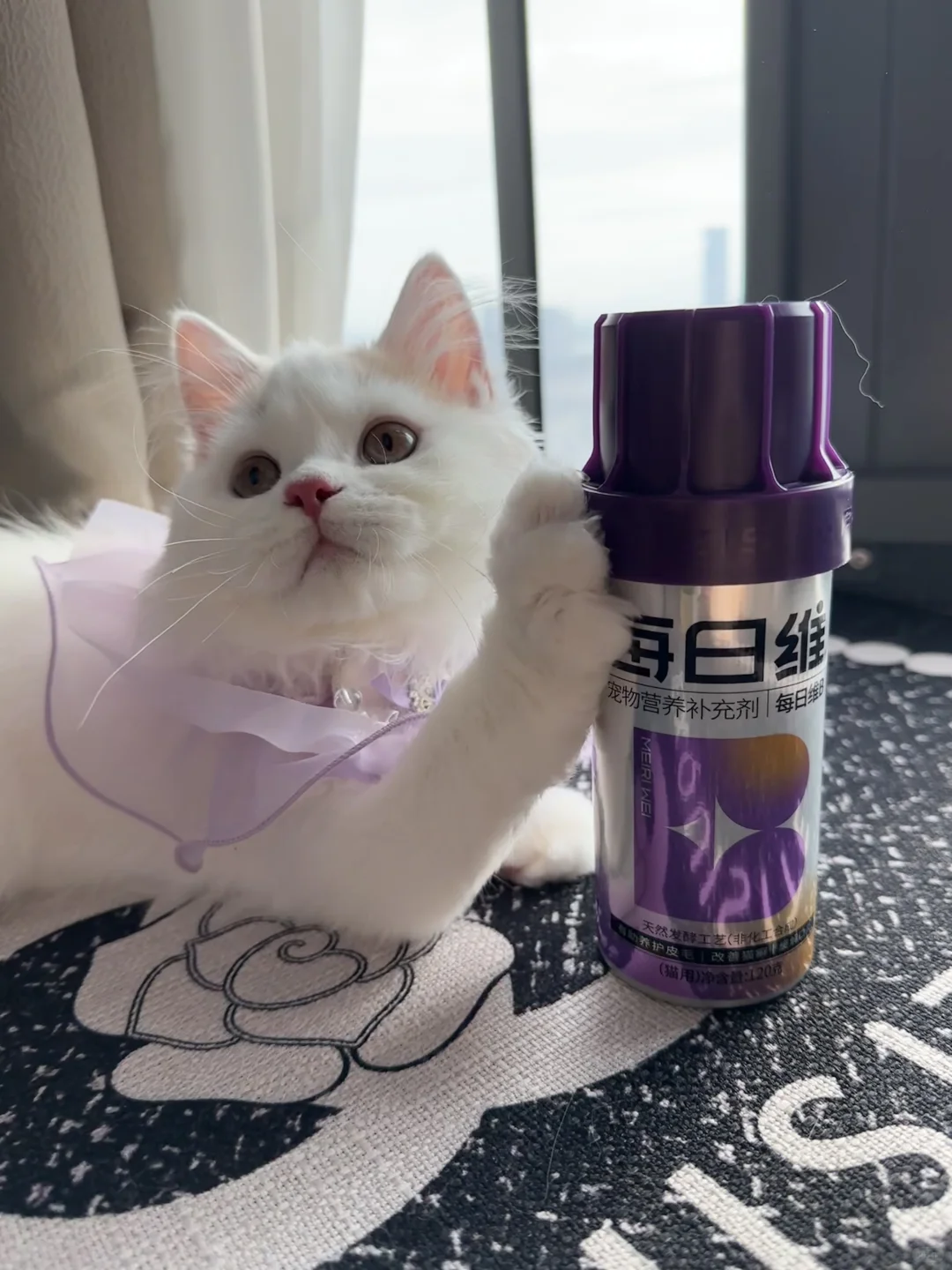 猫咪需要补充维生素b吗