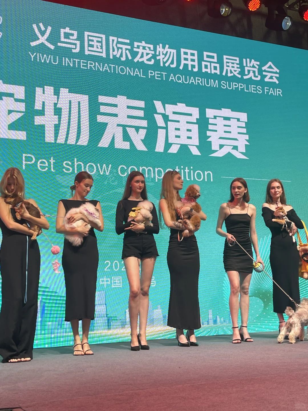 义乌宠物用品档口：“它”经济势头正猛❗️