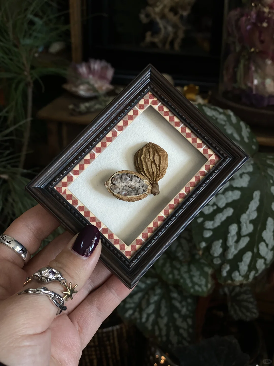 Aha！灵光一闪！给调味料来个?华丽的变身！?