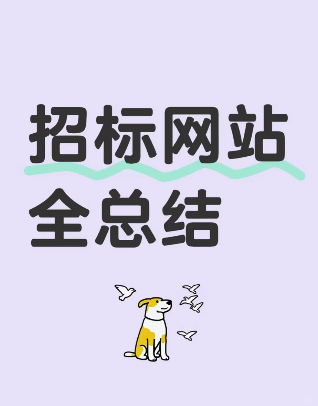 招标网站全总结