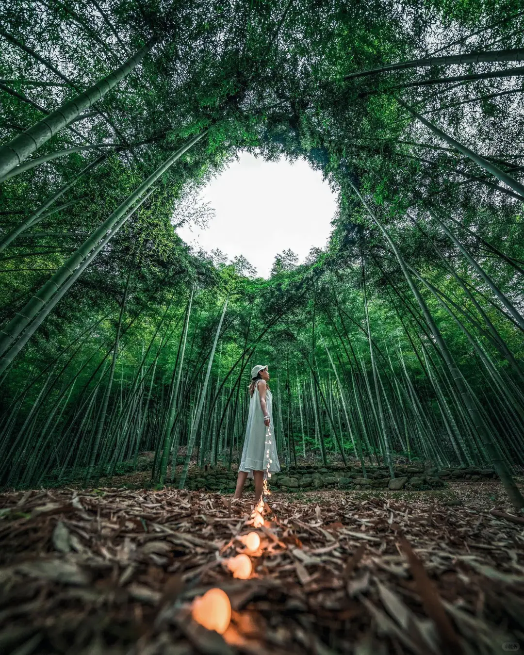 【摄影审美提升】YouKnowCYC作品解析