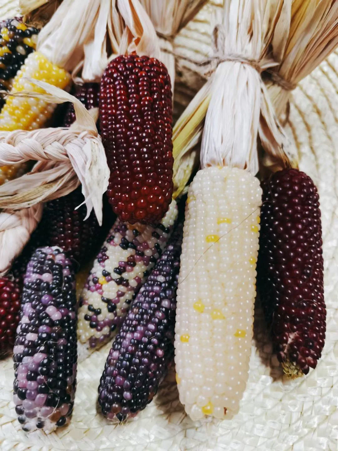 观赏经济作物的价值