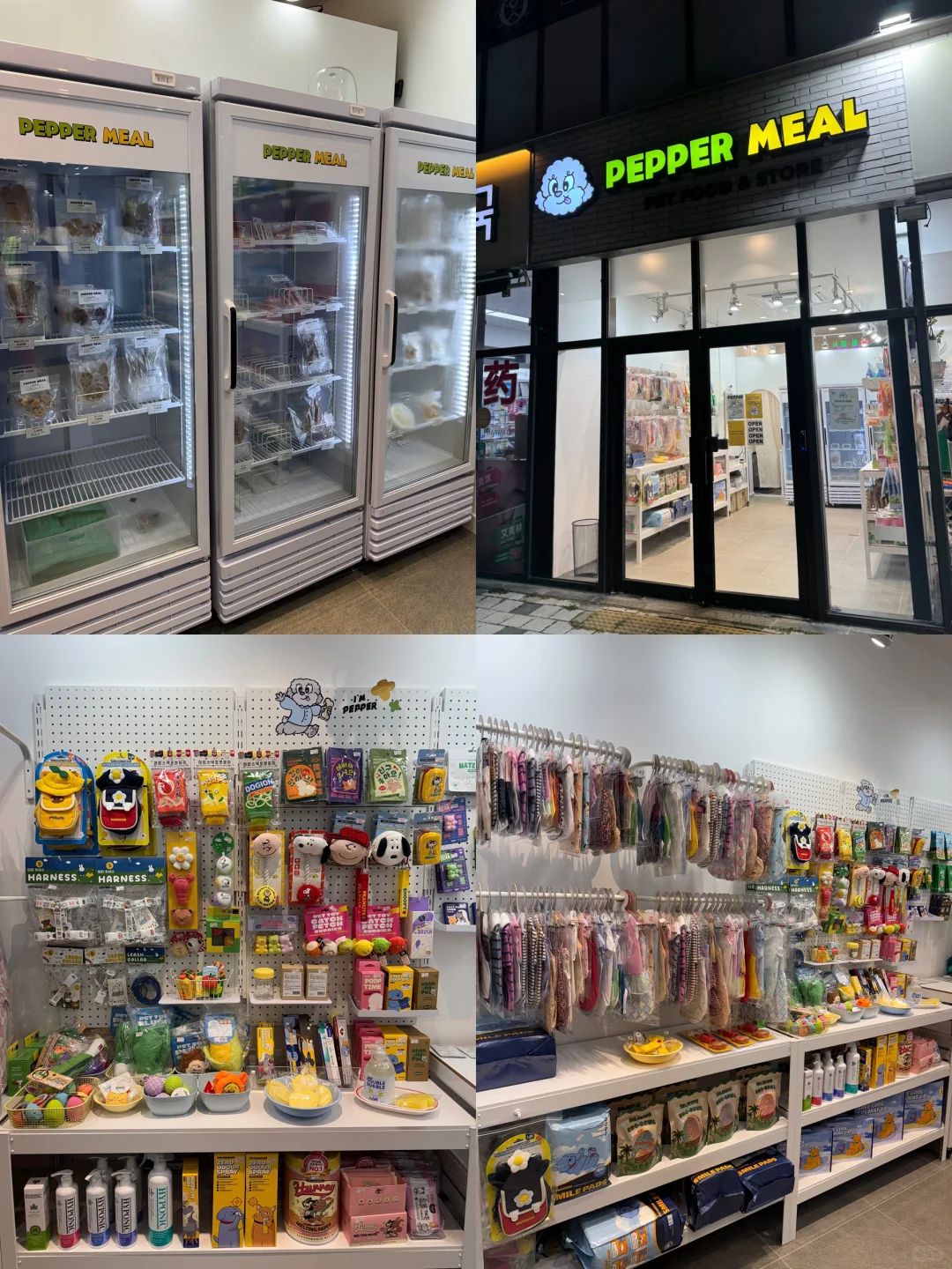 养狗人济州岛打猎攻略?勇闯?家店宠物店！
