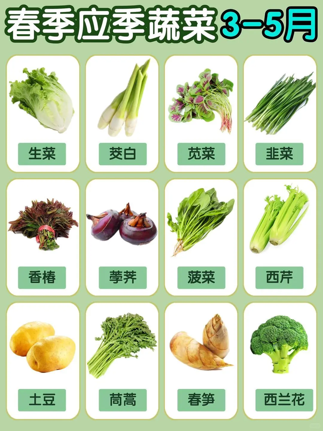 应季蔬菜时间表