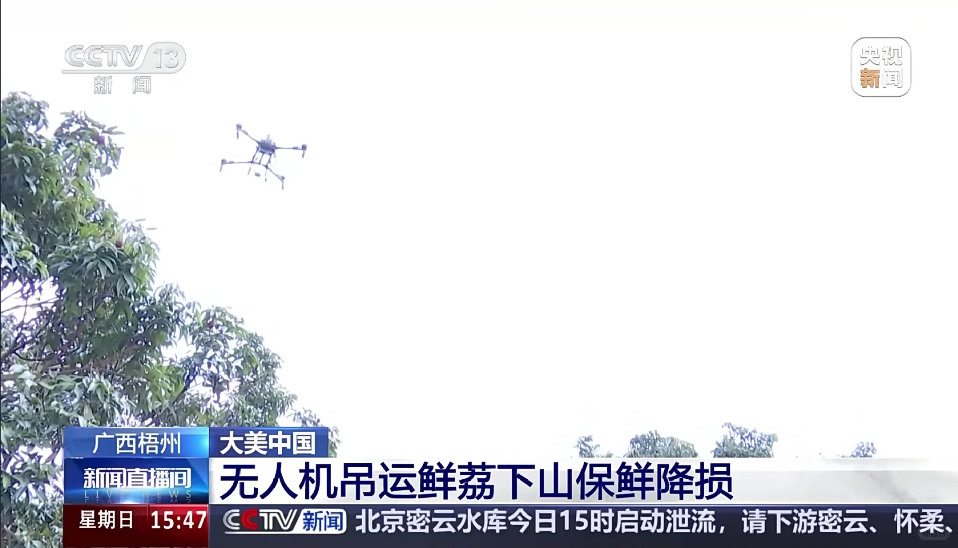 【地理热点】荔枝坐无人机下山？怒省80%