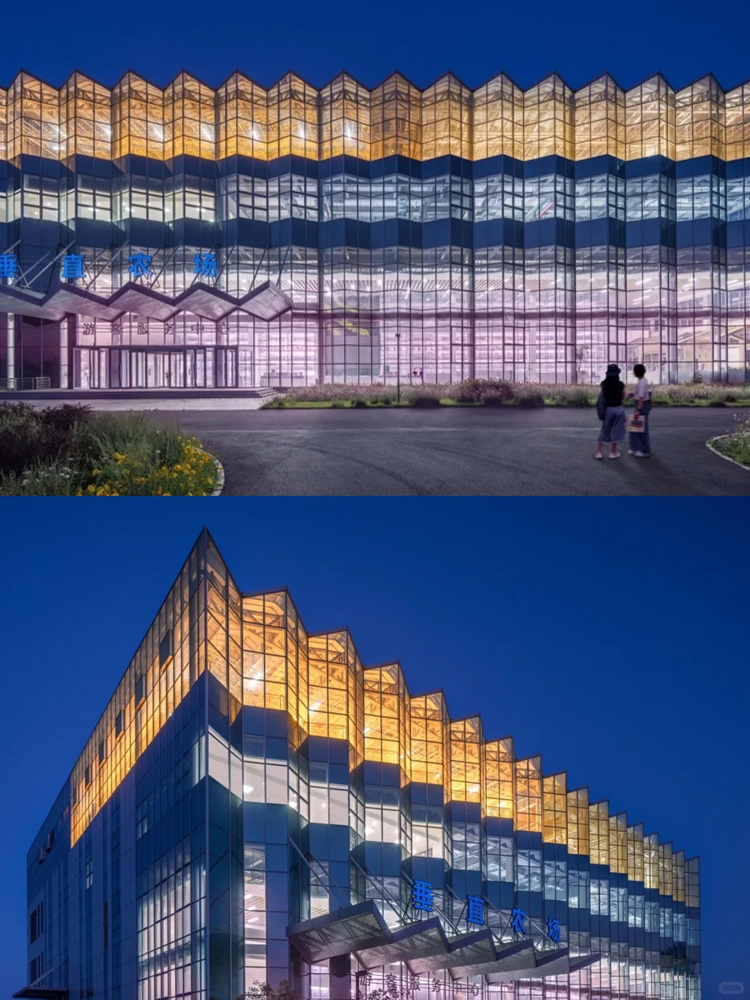 折叠玻璃立面?都市农业的未来长这样