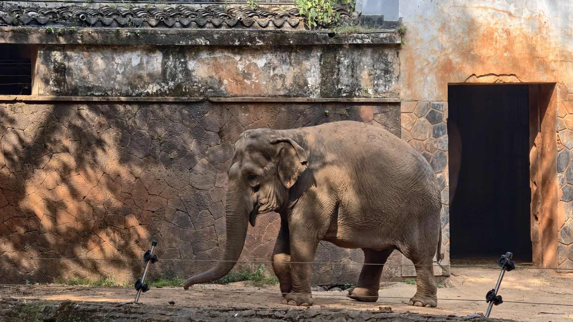特种兵之杭州动物园