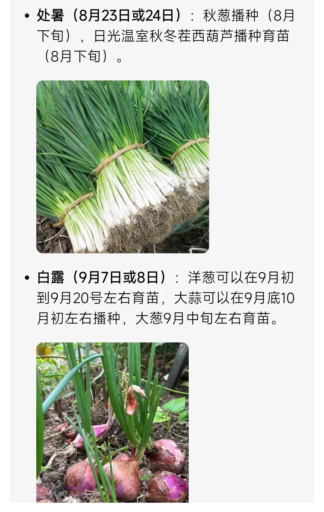 山东烟台二十四节气种菜时间
