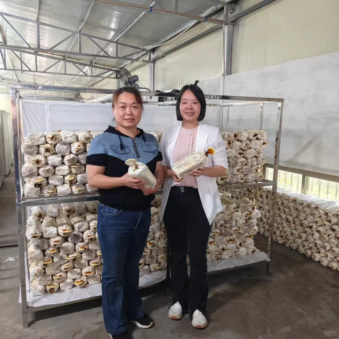 被授予“食用菌新品种新技术示范基地”牌匾