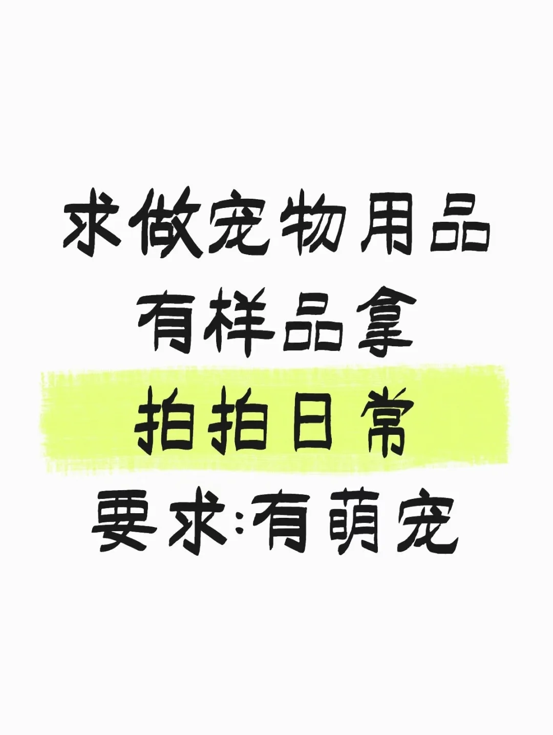 宠物用品体验官招募啦
