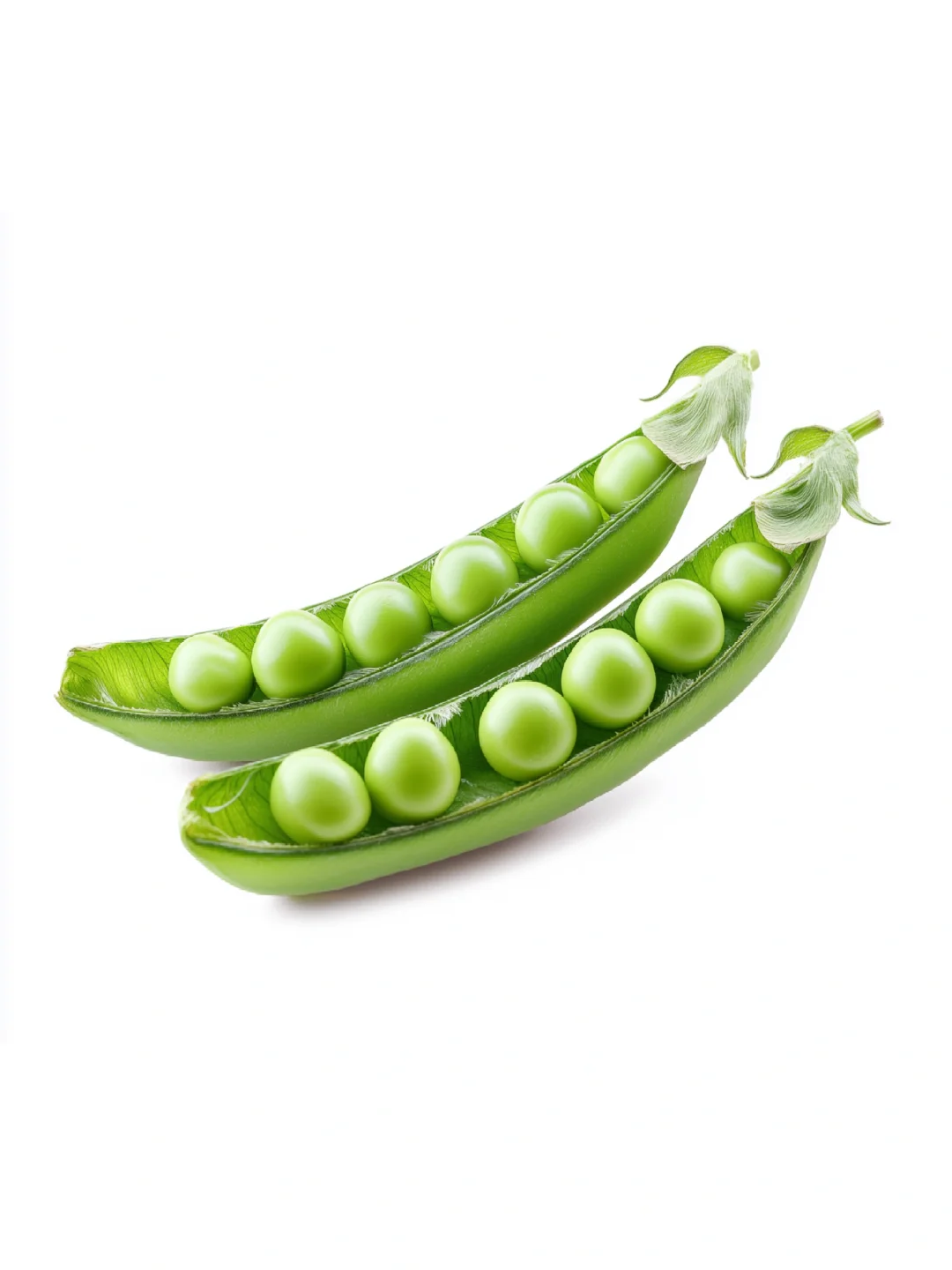 ??????? 白底头像