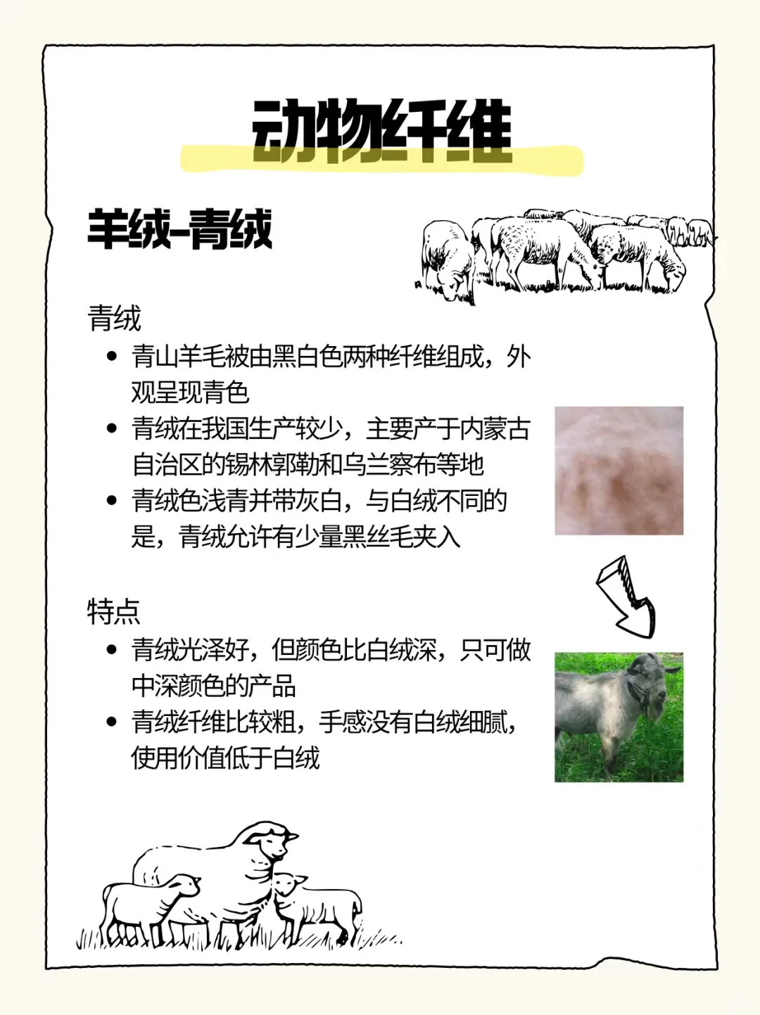 原材料‖动物纤维(羊绒)