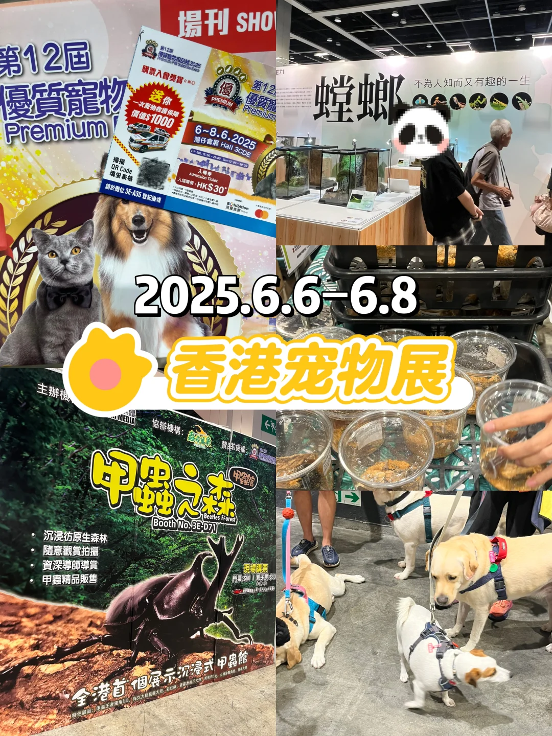 2025香港宠物展｜给自家毛孩囤货啦！