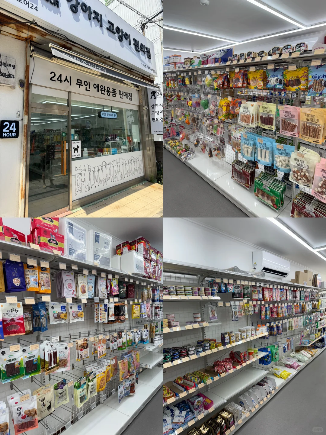 养狗人济州岛打猎攻略?勇闯?家店宠物店！