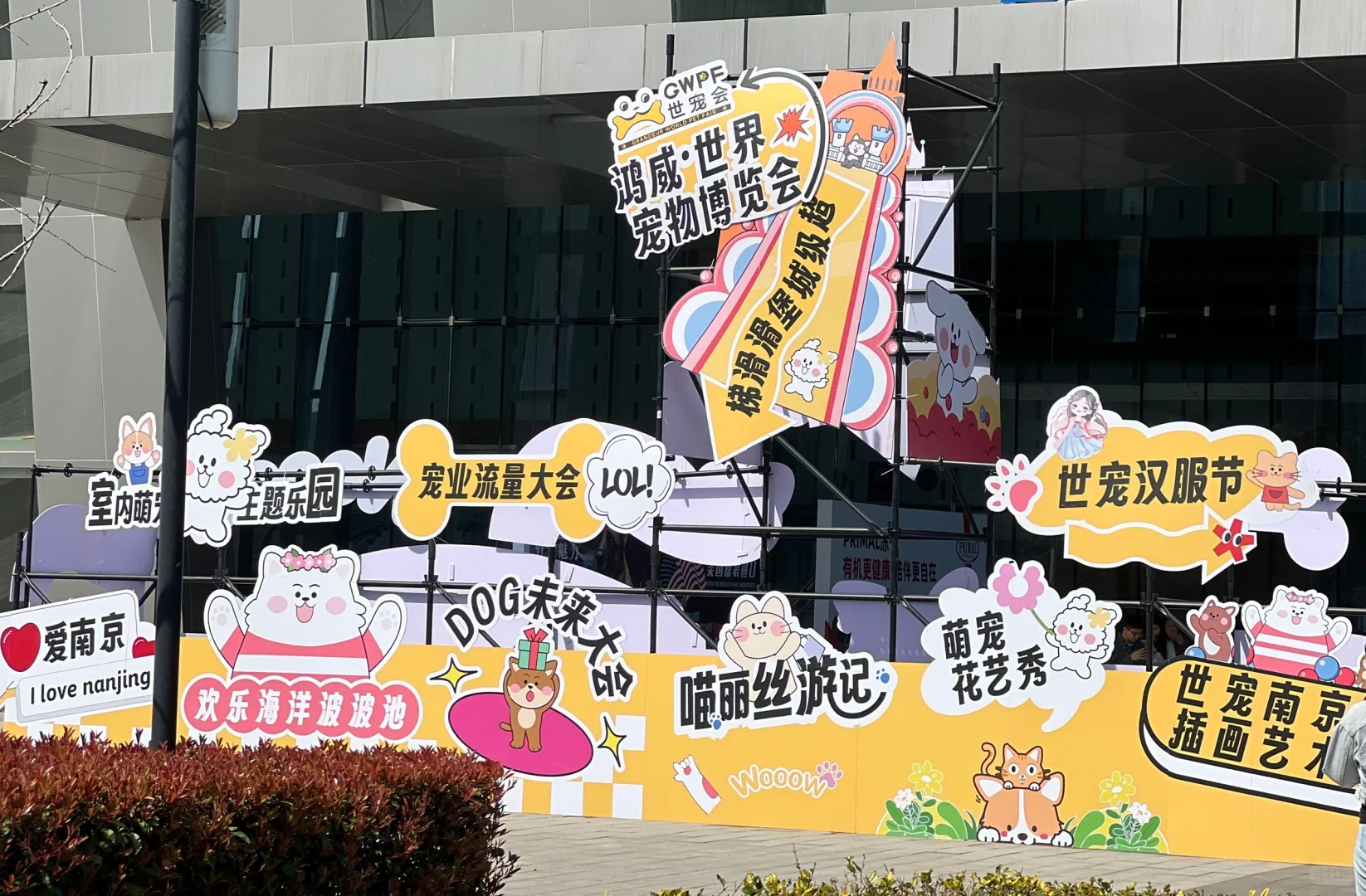 带你薅羊毛-想来南京世宠会的看这里