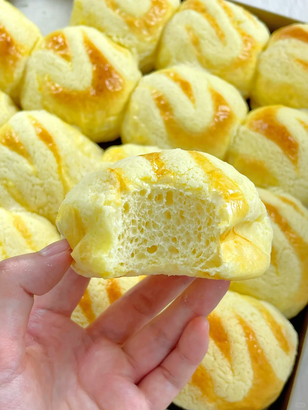 连吃两周❗️牛奶雪芙小餐包 软fufu巨好吃?