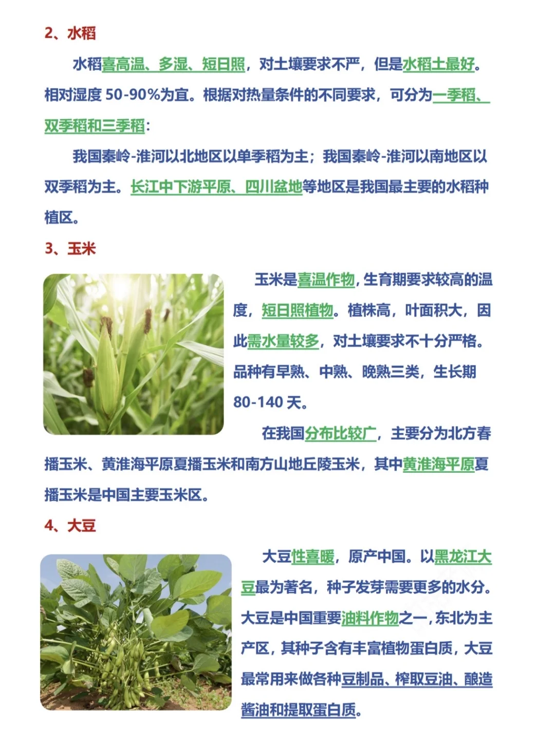 高考地理之农作物！超详细超有用❗️❗️