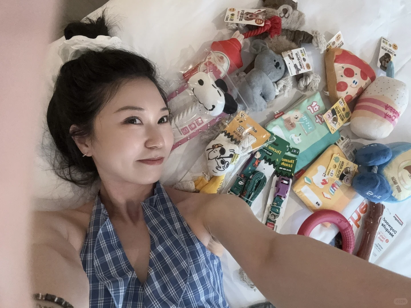 养狗人济州岛打猎攻略?勇闯?家店宠物店！