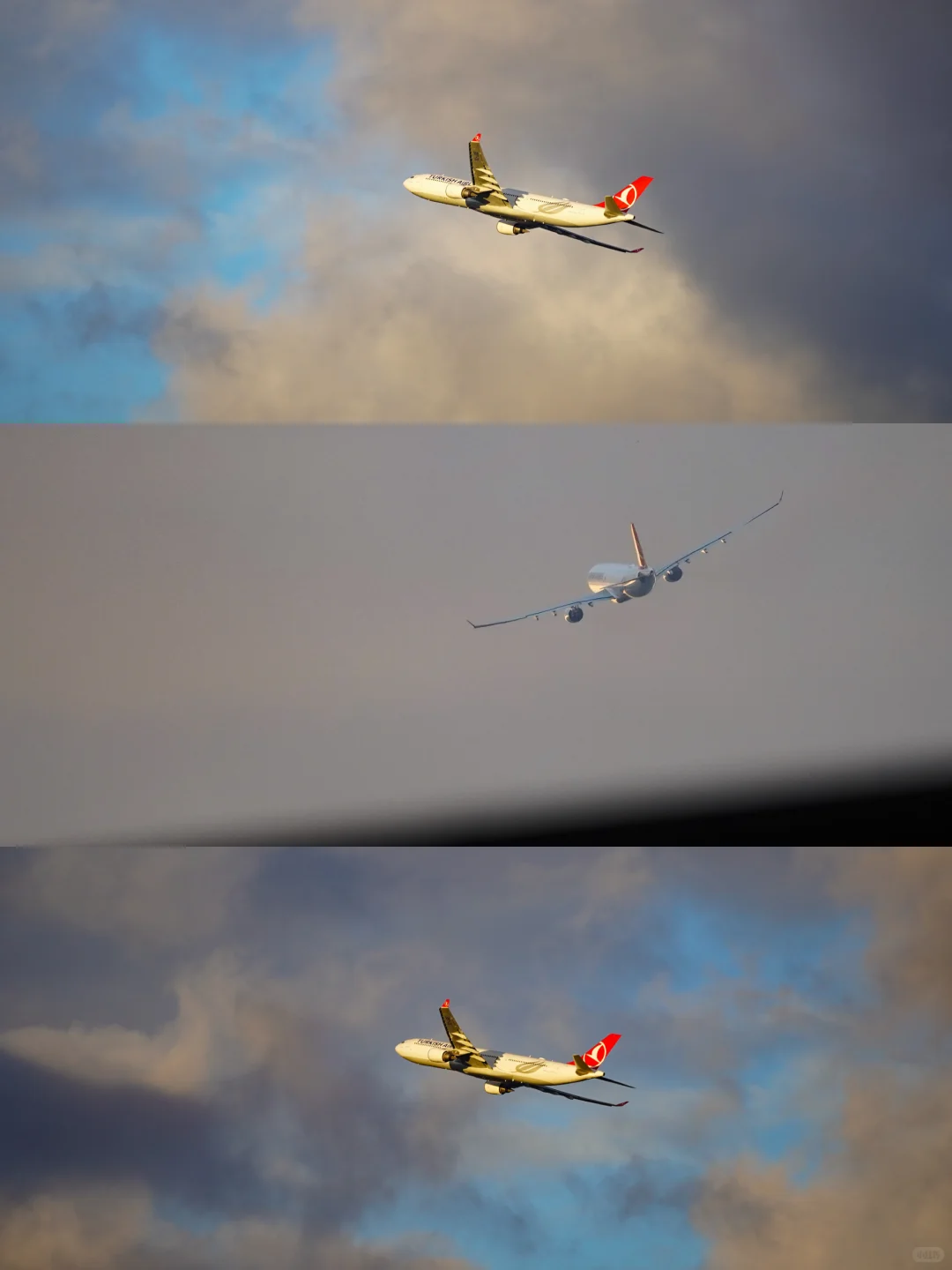 天马航空的A333宽体梦，土耳其航空，“圆了”❗️