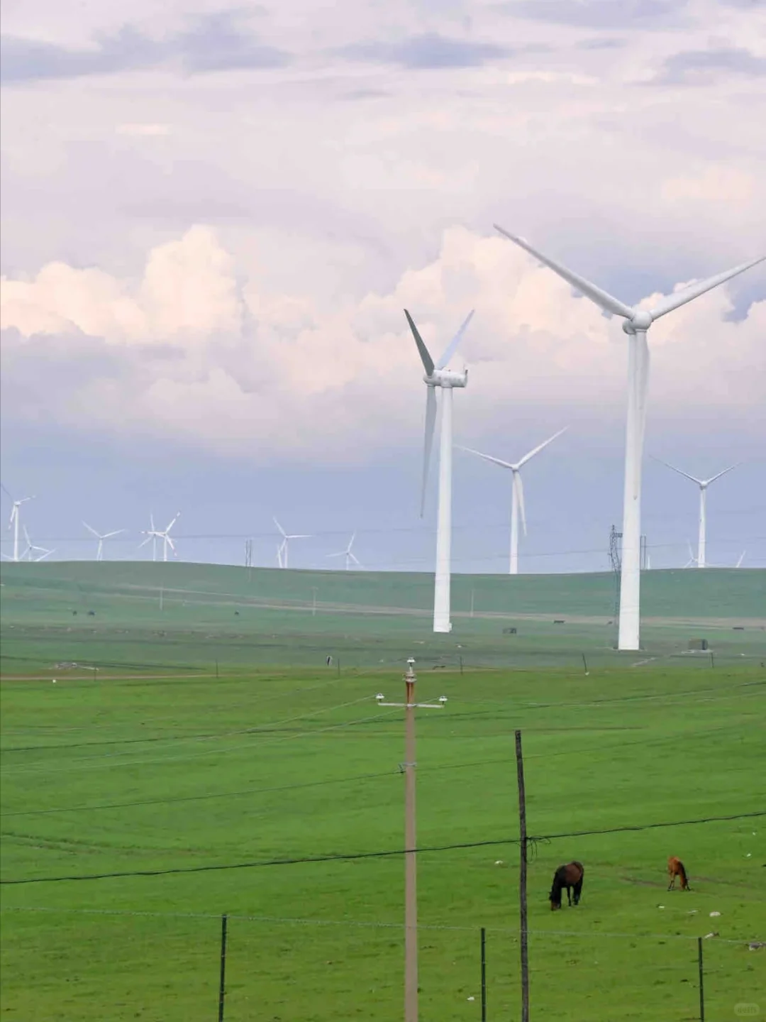 乌兰察布风车草原