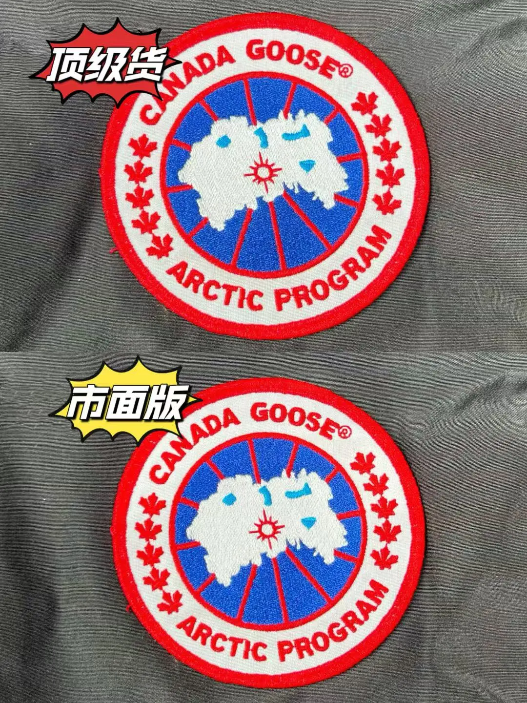 鉴别加拿大鹅学会这几个关键细节就够啦❗️❗️