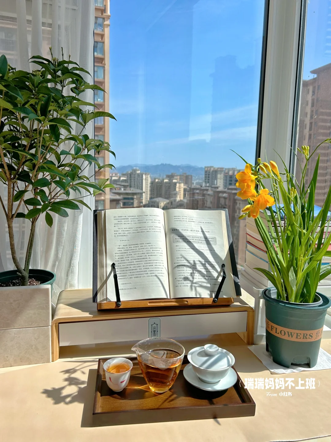 36岁,家是我的能量场,独处是灵魂的充电站✨