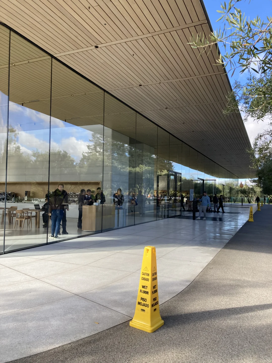 关于苹果总部的无框玻璃