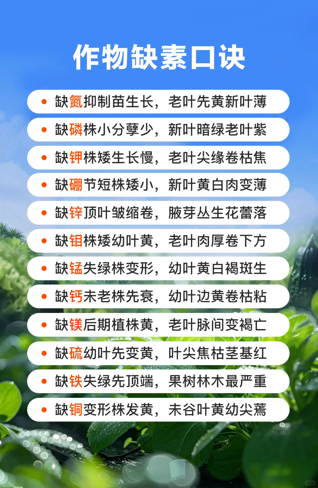 作物元素口诀对照表