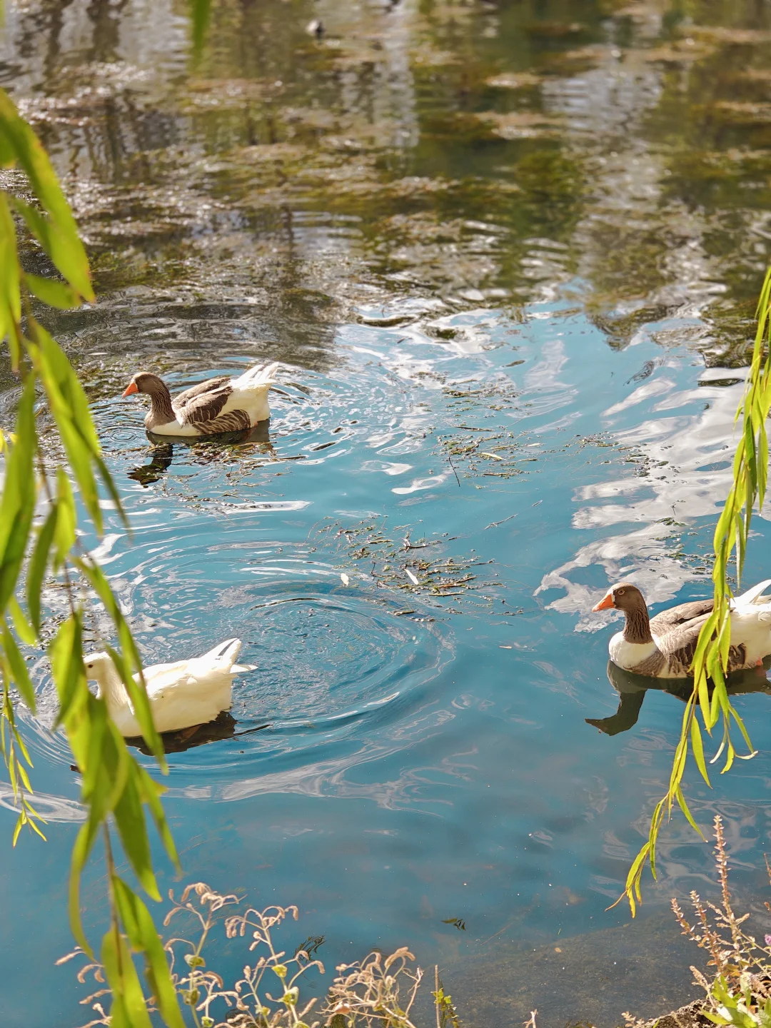 推荐一家土耳其格雷梅小镇的越野摩托