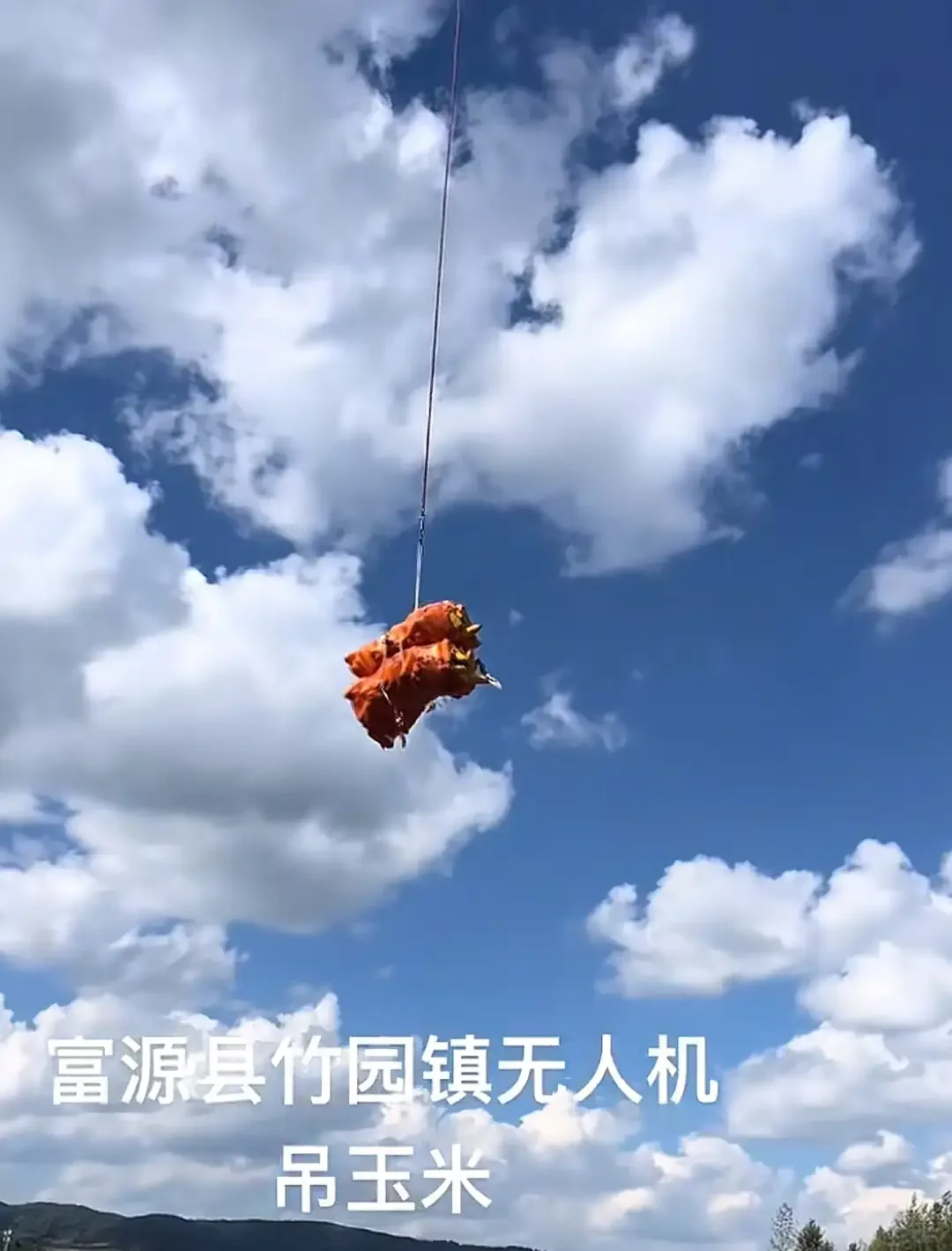 云南村民用无人机收玉米 现代农业仰仗科技