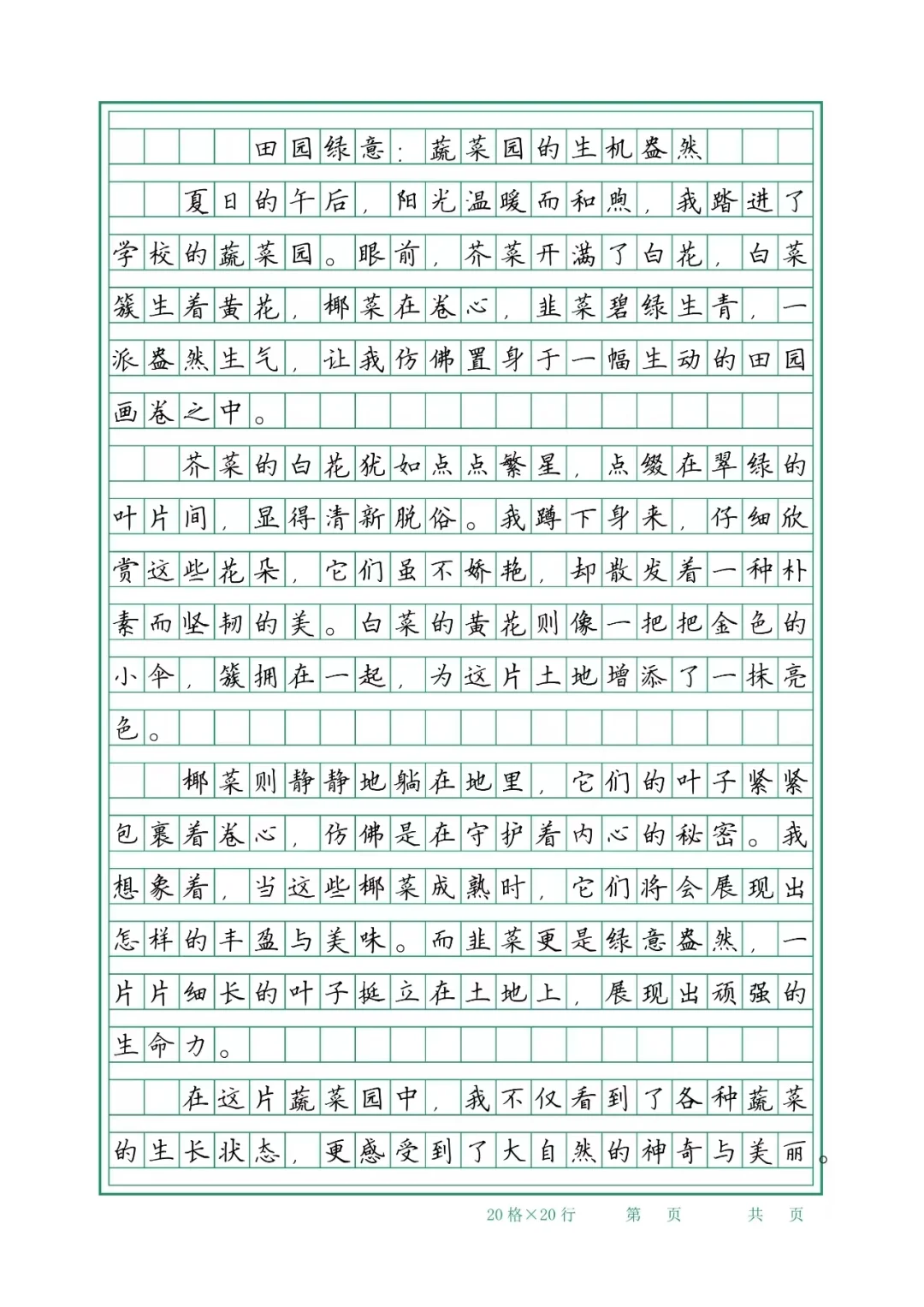 蔬菜园的生机盎然