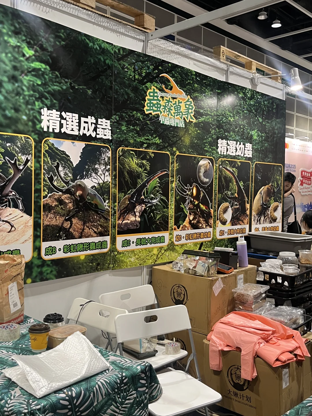 2025香港宠物展｜给自家毛孩囤货啦！