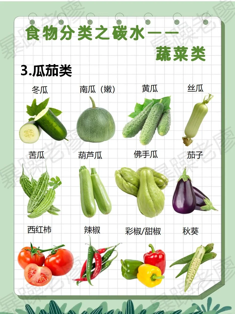 食物分类2-蔬菜（附日常安排要点）