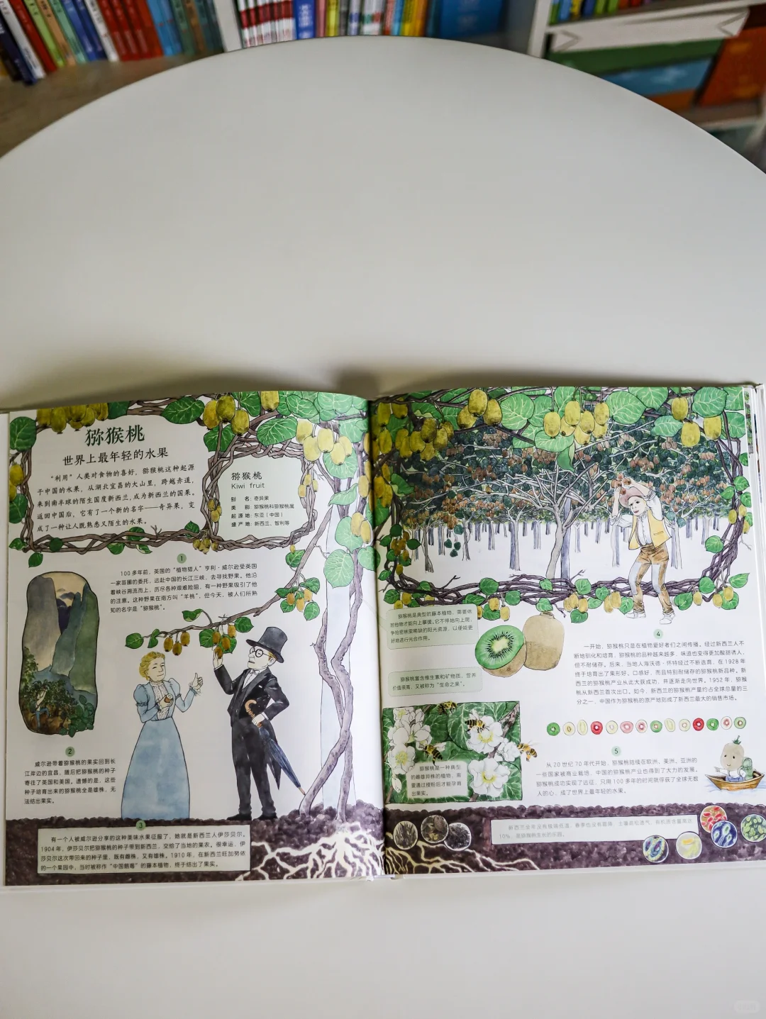 翻开《作物起源》解锁60种作物的环球旅行记！