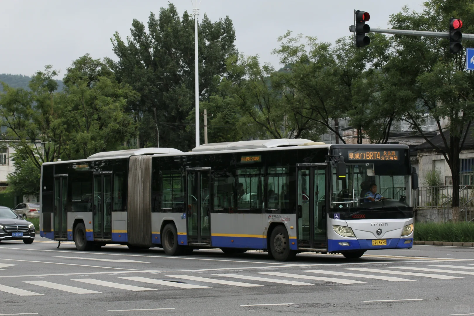 属于他们的最后一夏