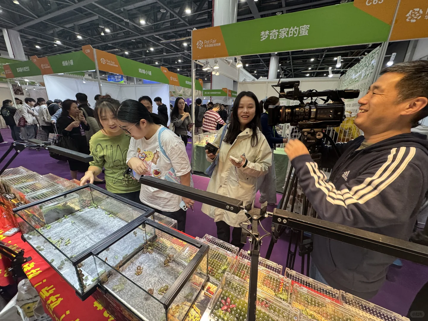 南通宠物展招人啦