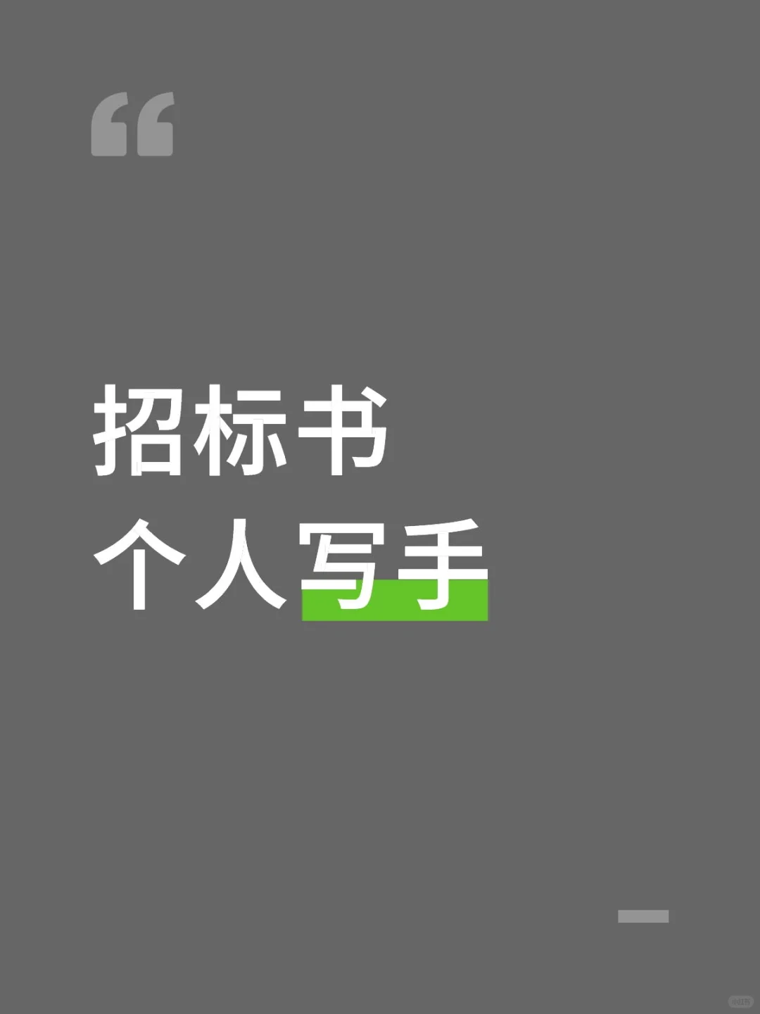 招标书个人写手