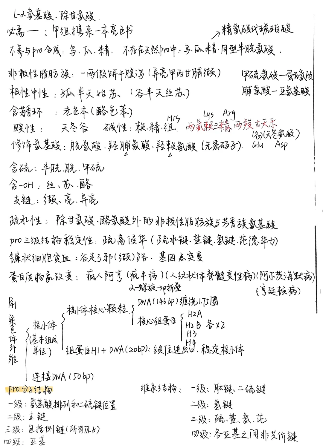 生物化学|笔记合集