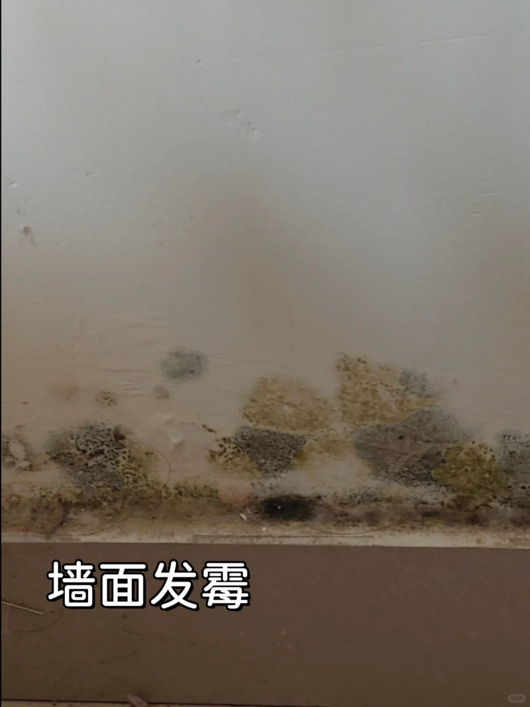 8种墙面常见问题➕解决方案
