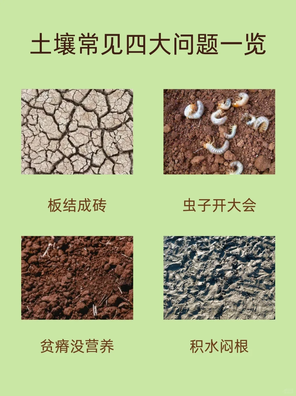 一图读懂常见土壤问题