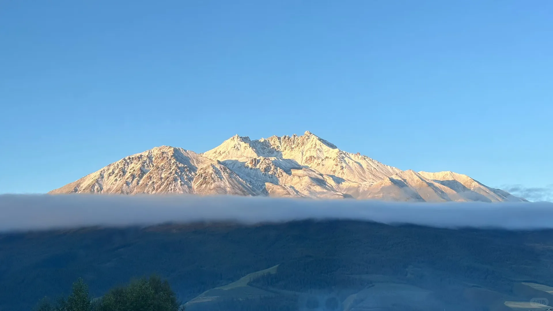 食品发货，有货代能走的吗