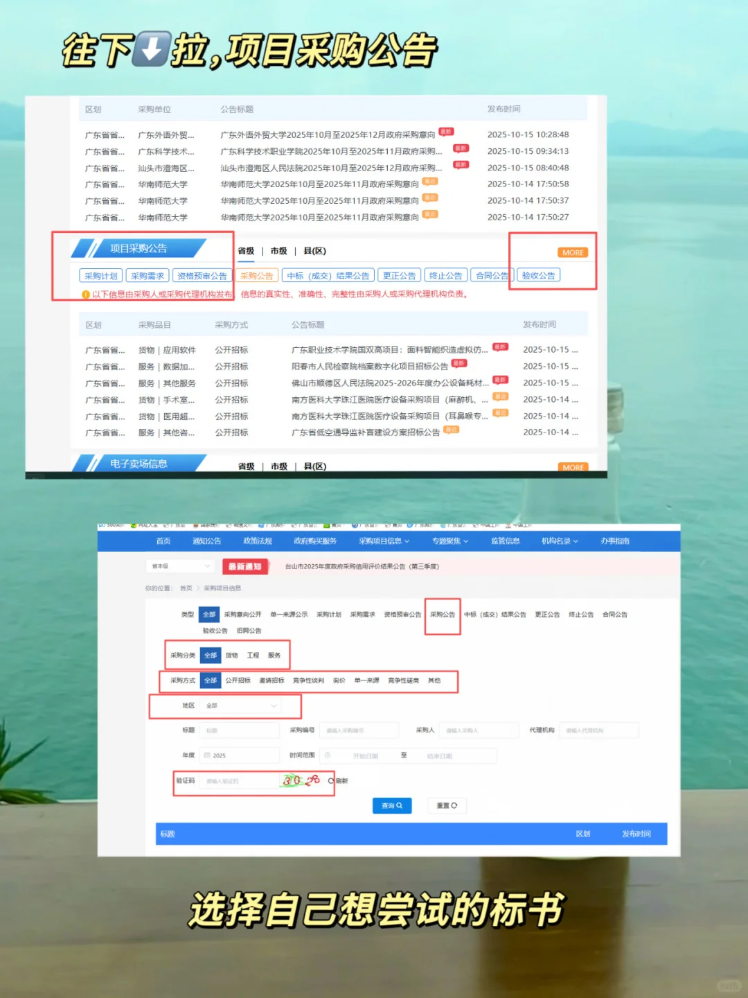 标书新人，如何找招标文件
